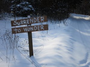 Surrender to Wonder 2