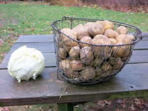 spuds