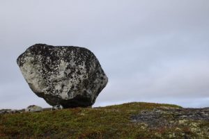 IMG_0199