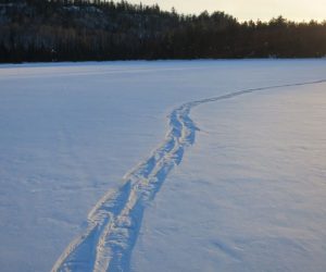 late pm snowshoe trail