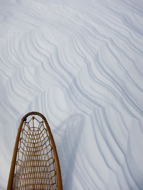snowsh tip 2