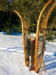 snowshs brookie 2