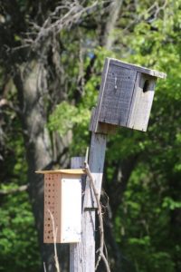 IMG_0607