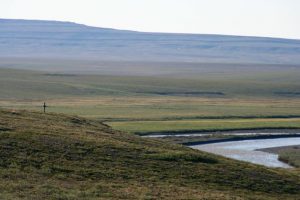 IMG_2901
