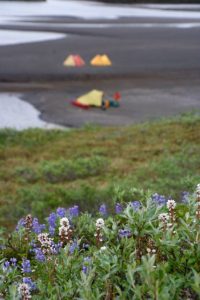 IMG_3013