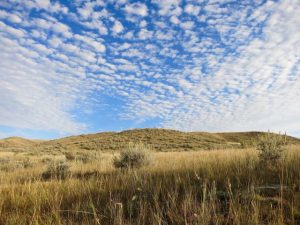 img_3545